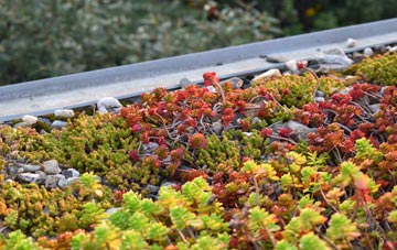 the cost of Cnoc Mairi green roof installation