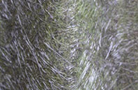 Cnoc Mairi fibreglass roof work